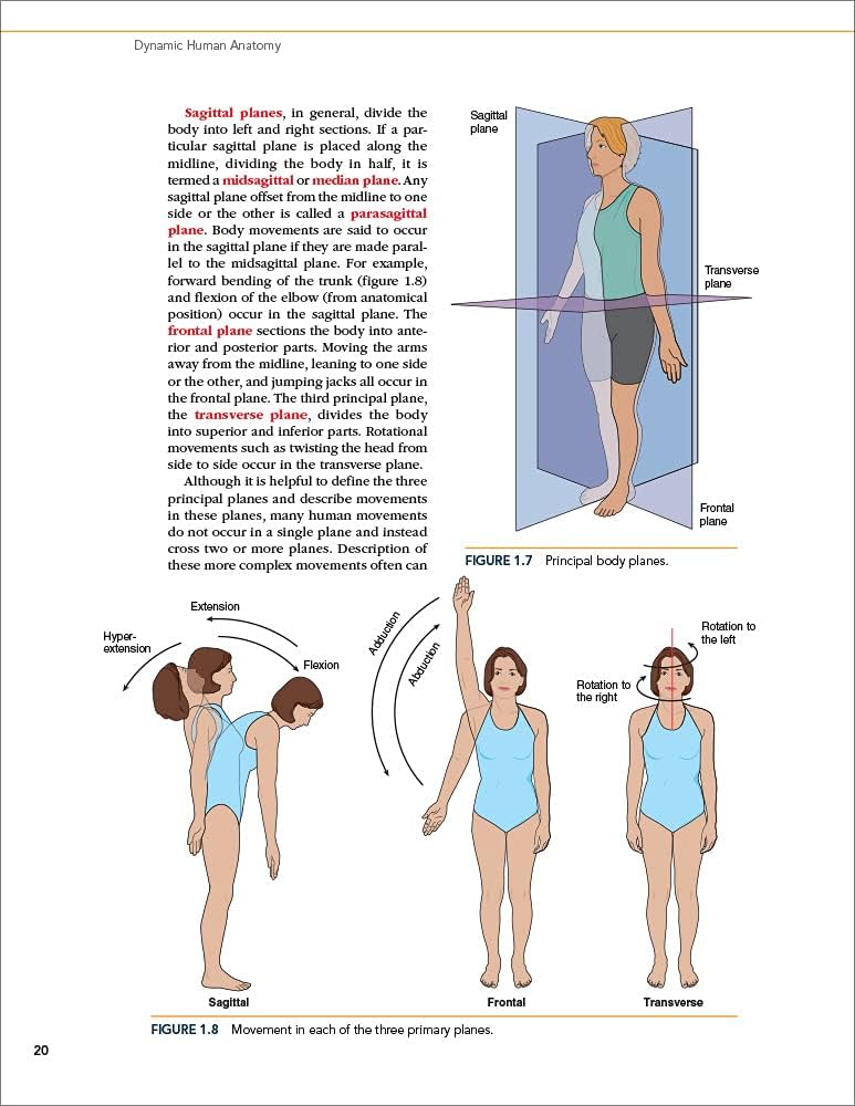 洋書　DYNAMIC HUMAN ANATOMY Dynamic Human Anatomy – Pennsylvania Academy of the Fine Arts